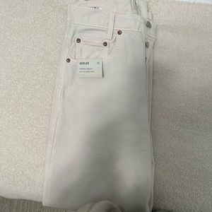 Agolde Tapered Baggy